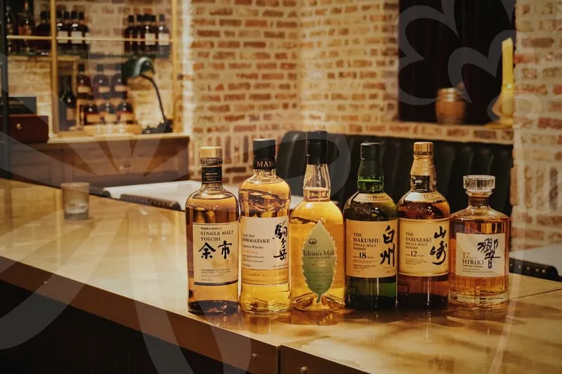 뱃살지방흡입가격