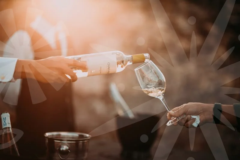 전신지방흡입비용