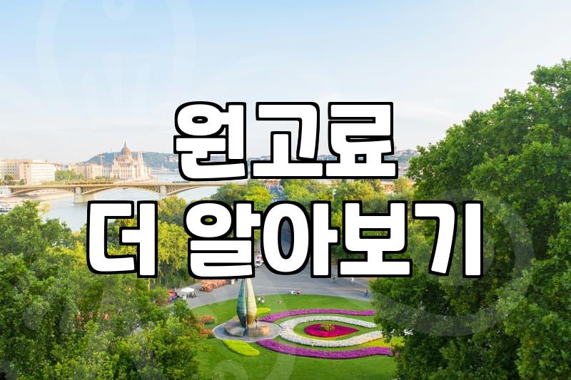 초보자도 바로 시작할 수 있는 블로그기자단 수익화의 현실적인 방법