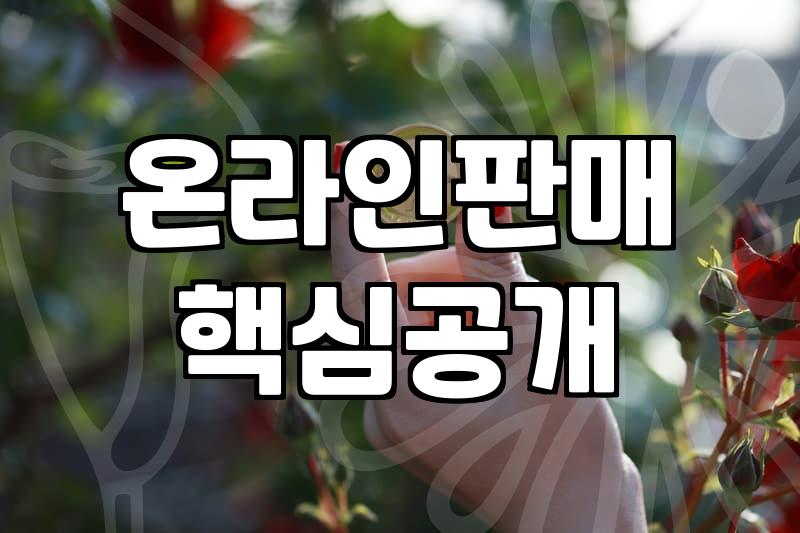 집에서하는부업, 스마트한 자동화 시스템으로 진짜 돈 벌려면?