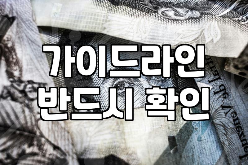 다이어트체험단 활동으로 얻는 부가수익의 현실과 수익화 전략