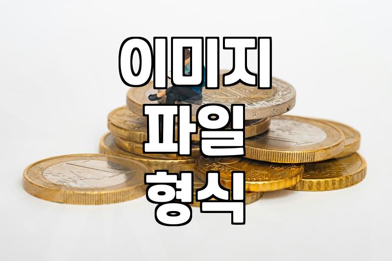 공모전이나 과제 제출할 때 이미지 파일 형식 고민된다면