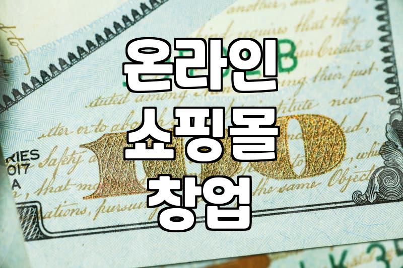 온라인 쇼핑몰, 정말 ‘대박’ 칠 수 있을까? 현실적인 고민과 경험담