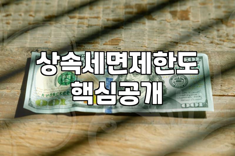 월 200만 원 생활비 지원, 효도인가 족쇄인가: 상속과 현실의 경계에서