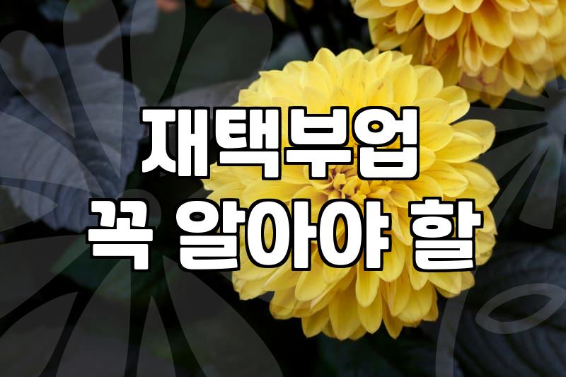 재택부업을 고민하는 직장인을 위한 솔직한 경험담