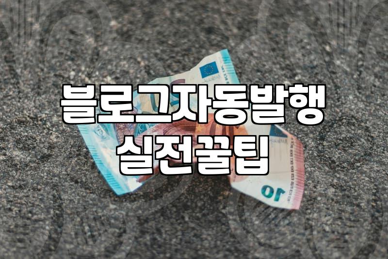 워드프레스수익 구조와 실제 운영 단계별 준비사항