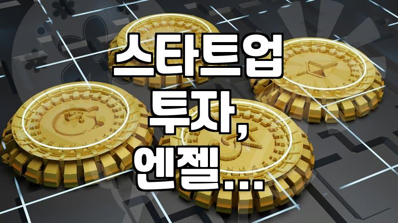 엔젤 투자, 섣부른 기대는 금물… 실제 경험자가 말하는 현실적인 조언