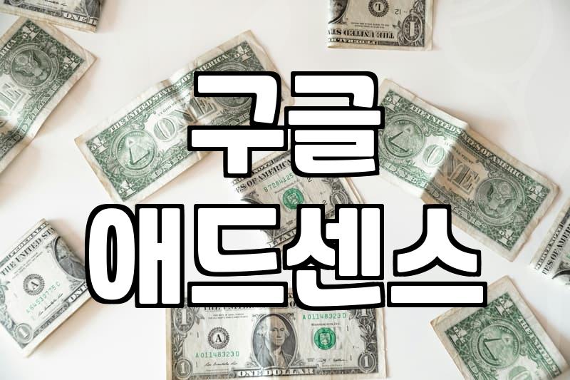 워드프레스수익 구조를 만드는 실전 전략과 함정