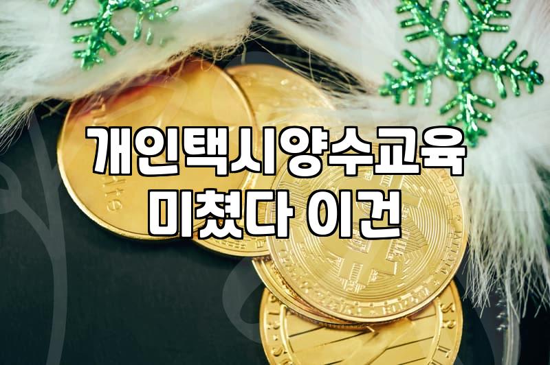 택시운전 자격증 취득 절차와 현실적인 준비 과정