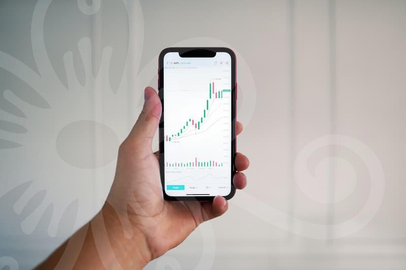 워드프레스홈페이지제작 과정에서 마주하는 기술적 진입장벽과 수익화에 대한 냉정한 고찰