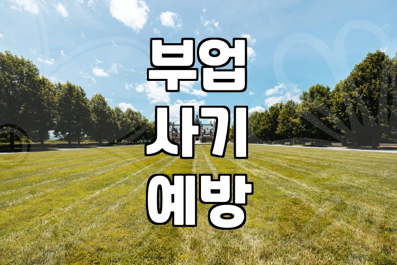 집에서 하는 스마트폰 부업, 현실적인 접근과 주의할 점